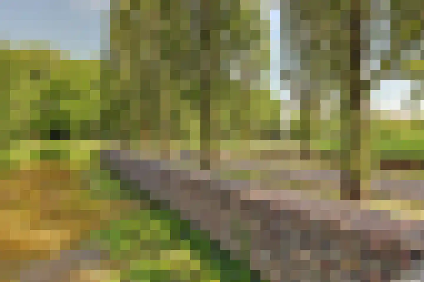 Oude Vlijmenseweg 261 's-Hertogenbosch thumbnail 40