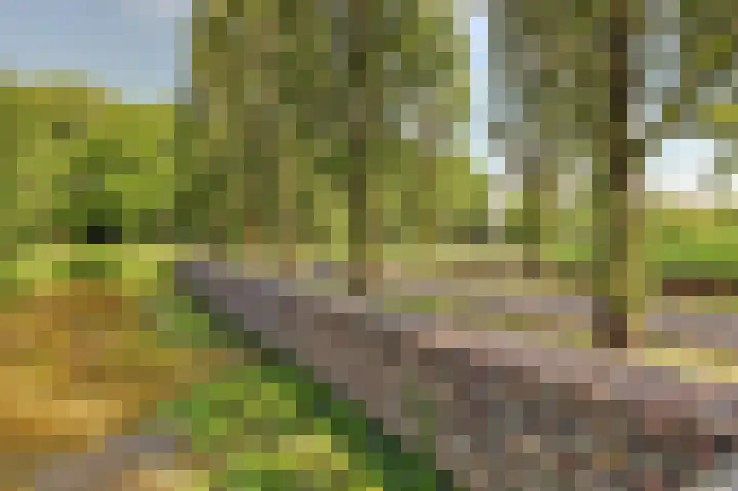 Oude Vlijmenseweg 261 's-Hertogenbosch thumbnail 41