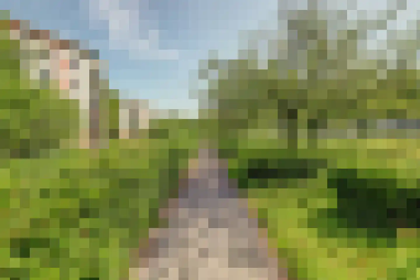 Oude Vlijmenseweg 261 's-Hertogenbosch thumbnail 42