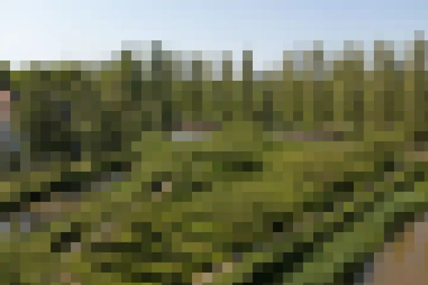 Oude Vlijmenseweg 261 's-Hertogenbosch thumbnail 43