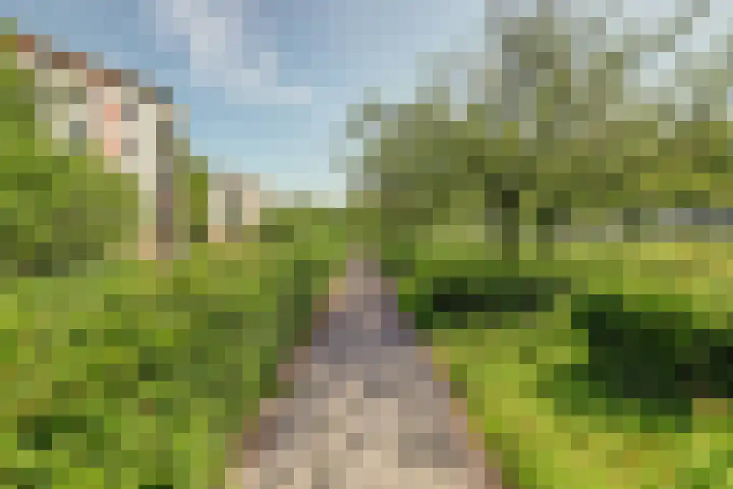 Oude Vlijmenseweg 261 's-Hertogenbosch thumbnail 43