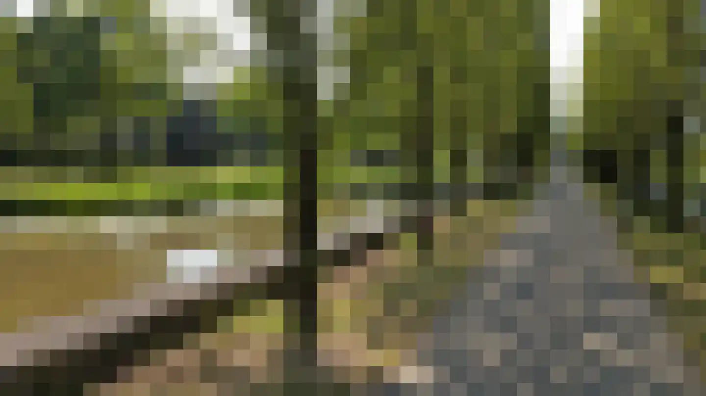 Oude Vlijmenseweg 261 's-Hertogenbosch thumbnail 44