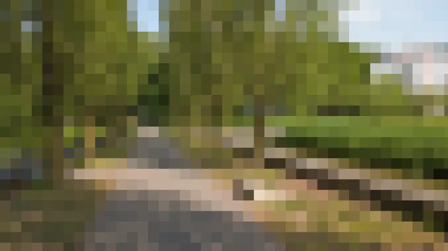 Oude Vlijmenseweg 261 's-Hertogenbosch thumbnail 45