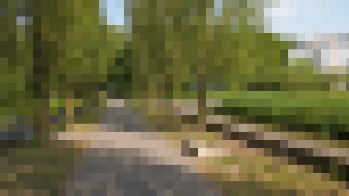 Oude Vlijmenseweg 261 's-Hertogenbosch thumbnail 46