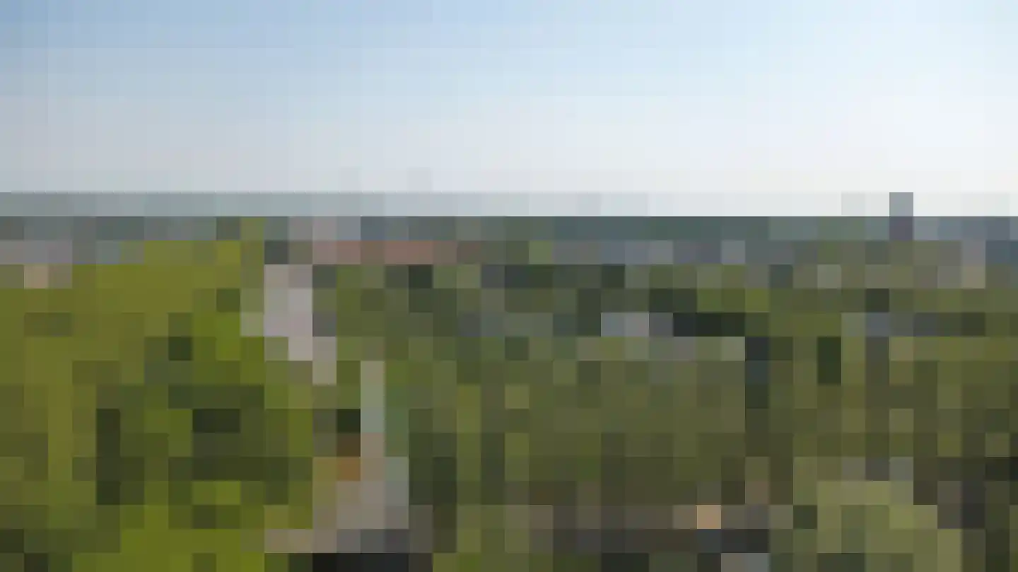 Oude Vlijmenseweg 261 's-Hertogenbosch thumbnail 46