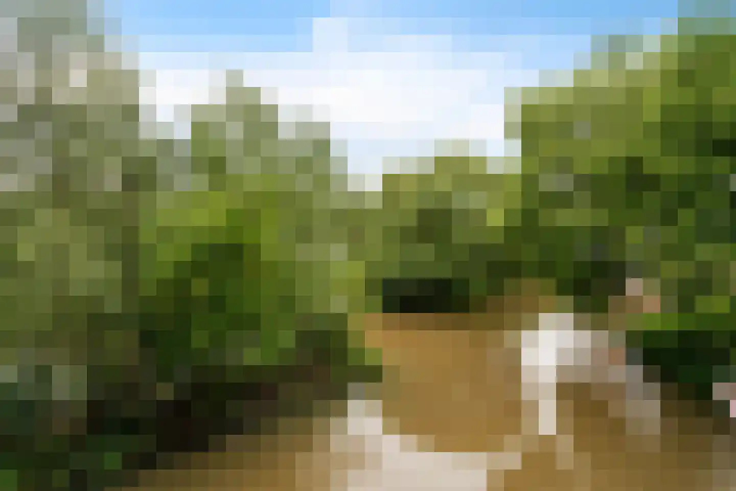 Oude Vlijmenseweg 267 's-Hertogenbosch thumbnail 33