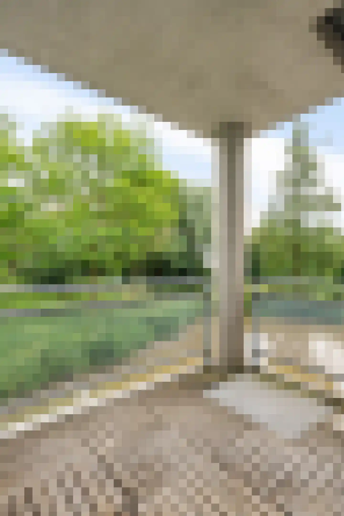 Oude Vlijmenseweg 267 's-Hertogenbosch thumbnail 34