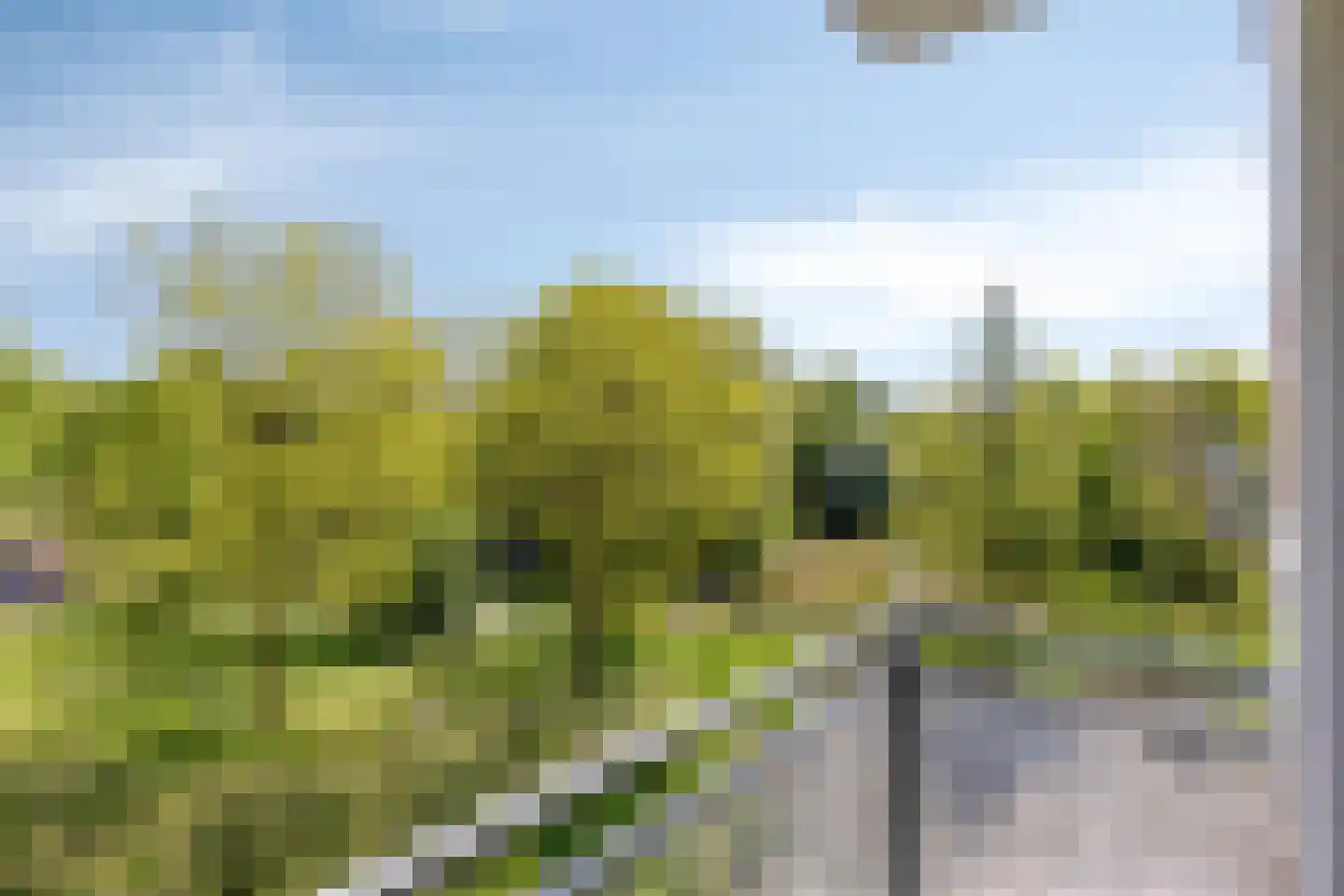 Oude Vlijmenseweg 281 's-Hertogenbosch thumbnail 15