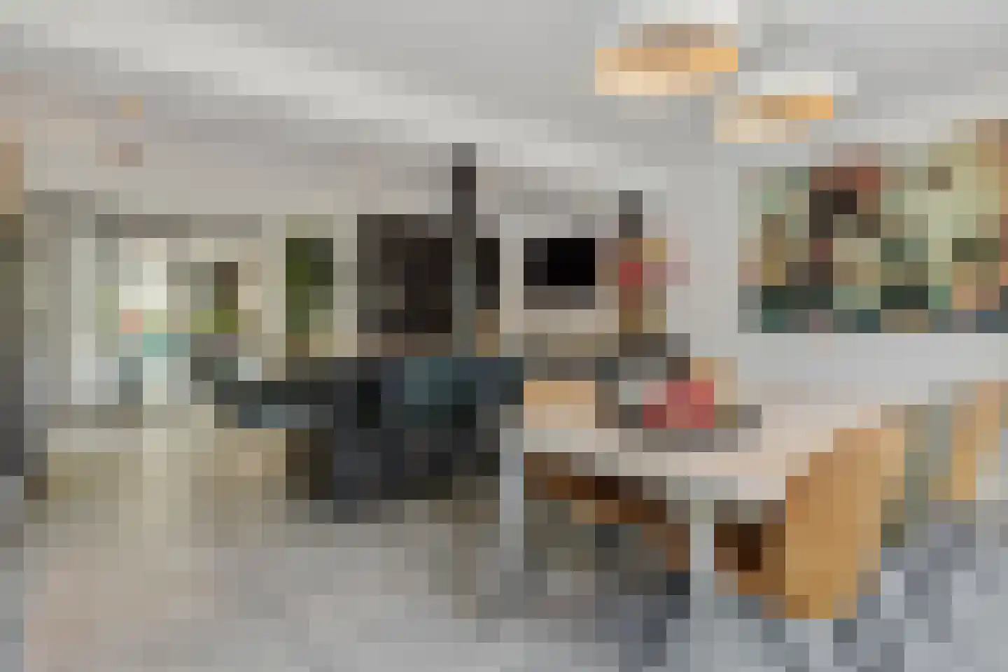 Oude Vlijmenseweg 34 's-Hertogenbosch thumbnail 16