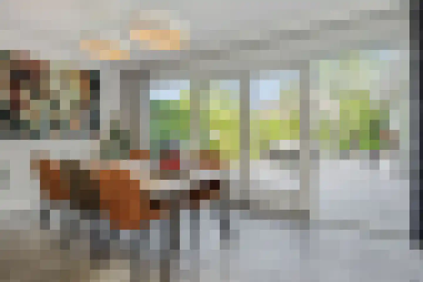 Oude Vlijmenseweg 34 's-Hertogenbosch thumbnail 18