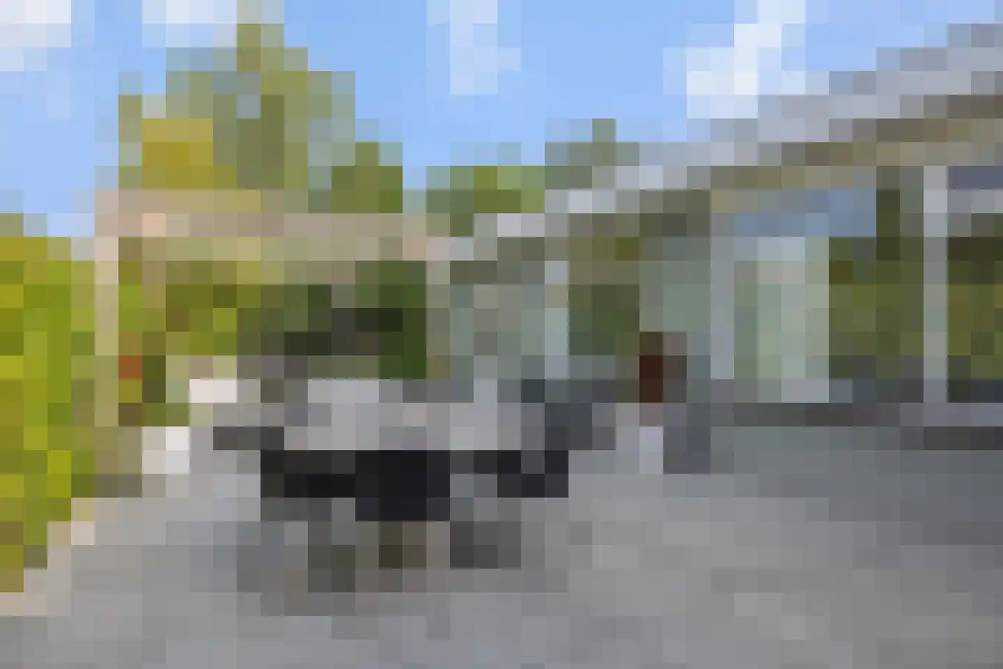Oude Vlijmenseweg 34 's-Hertogenbosch thumbnail 30