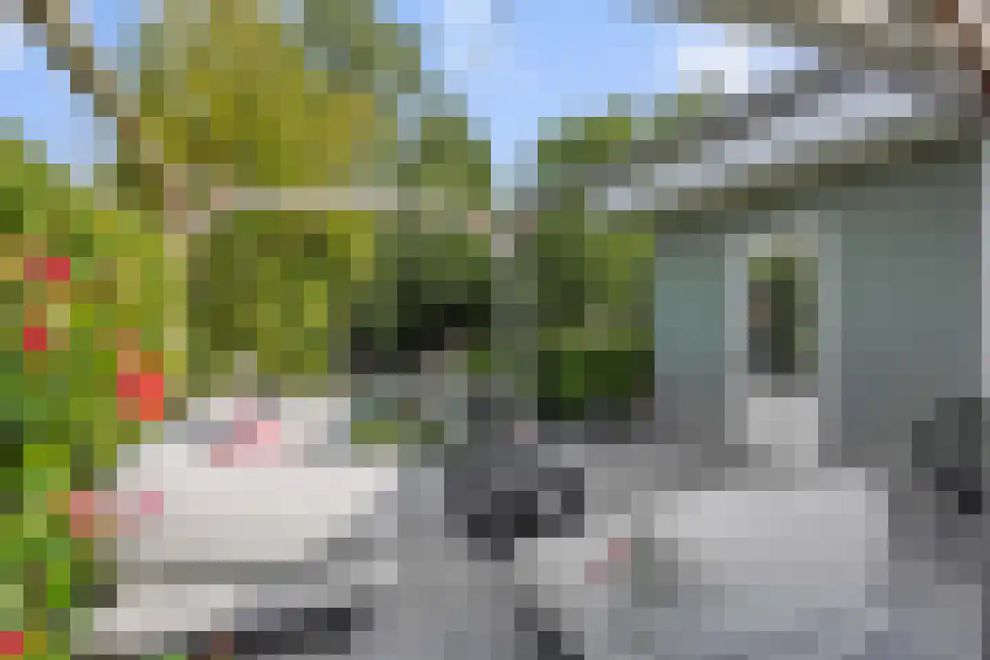 Oude Vlijmenseweg 34 's-Hertogenbosch thumbnail 31