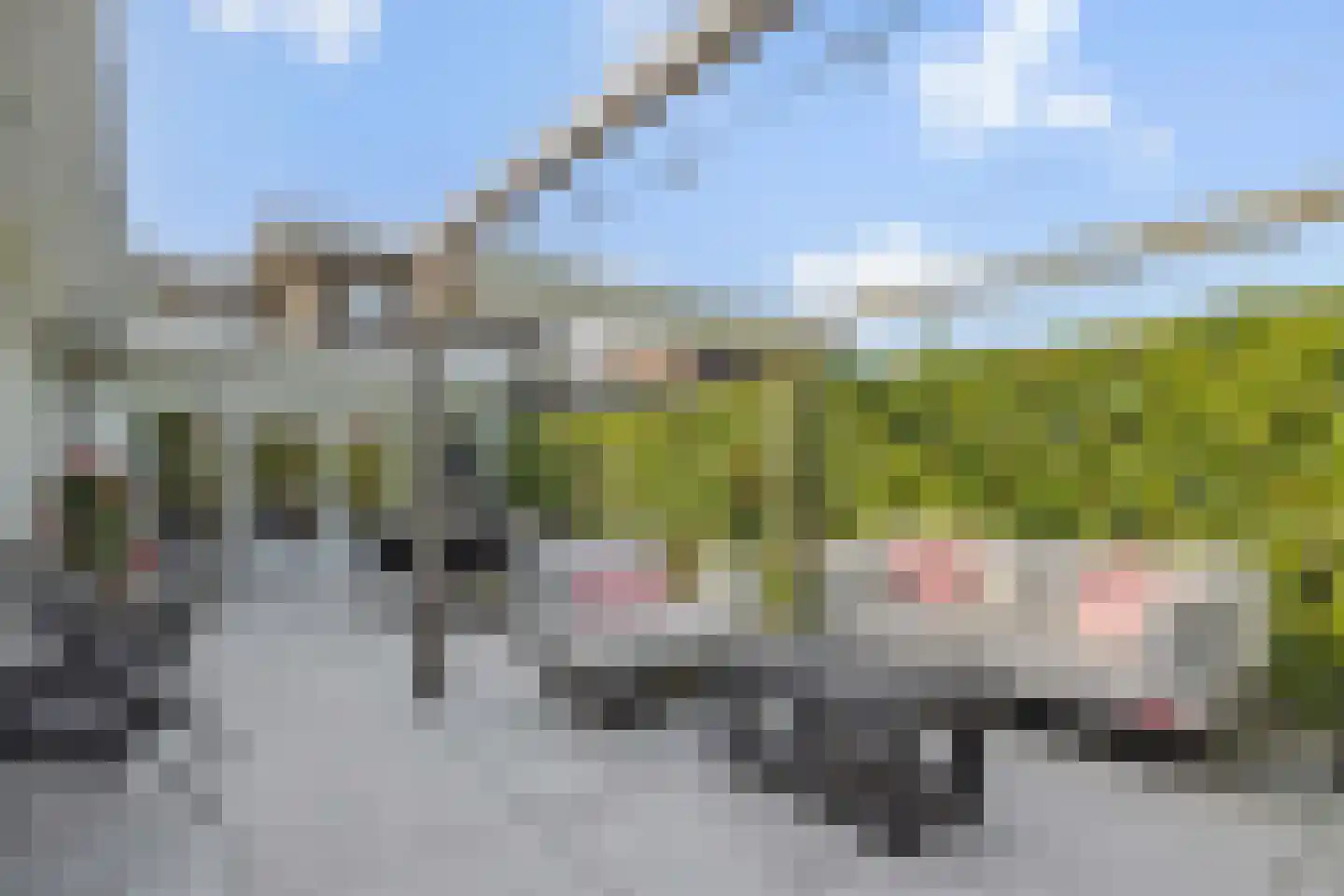 Oude Vlijmenseweg 34 's-Hertogenbosch thumbnail 32
