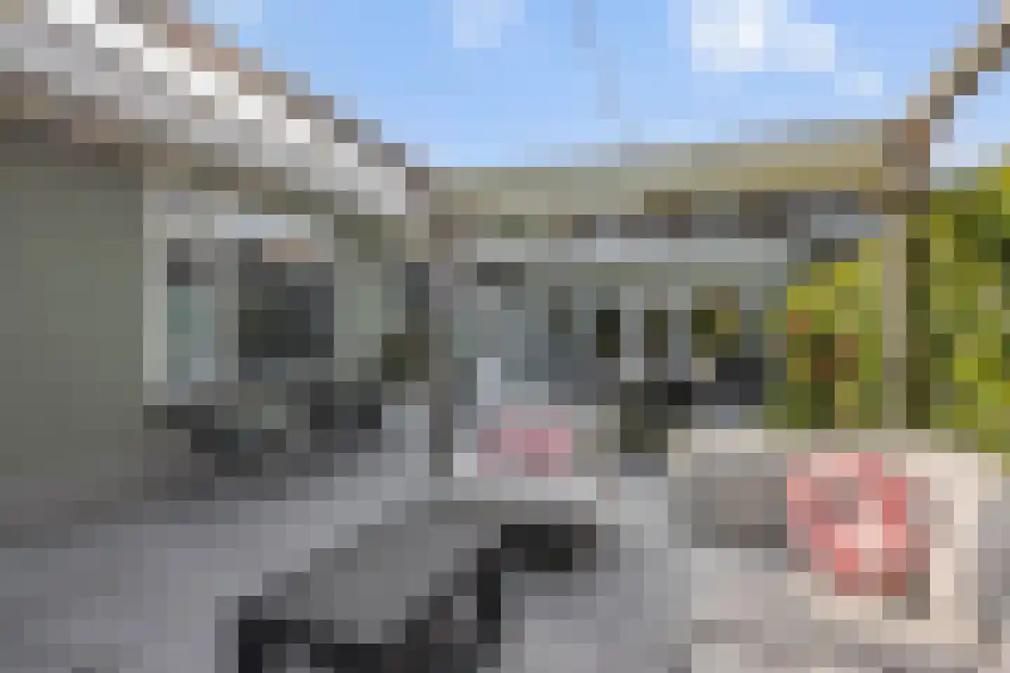 Oude Vlijmenseweg 34 's-Hertogenbosch thumbnail 33