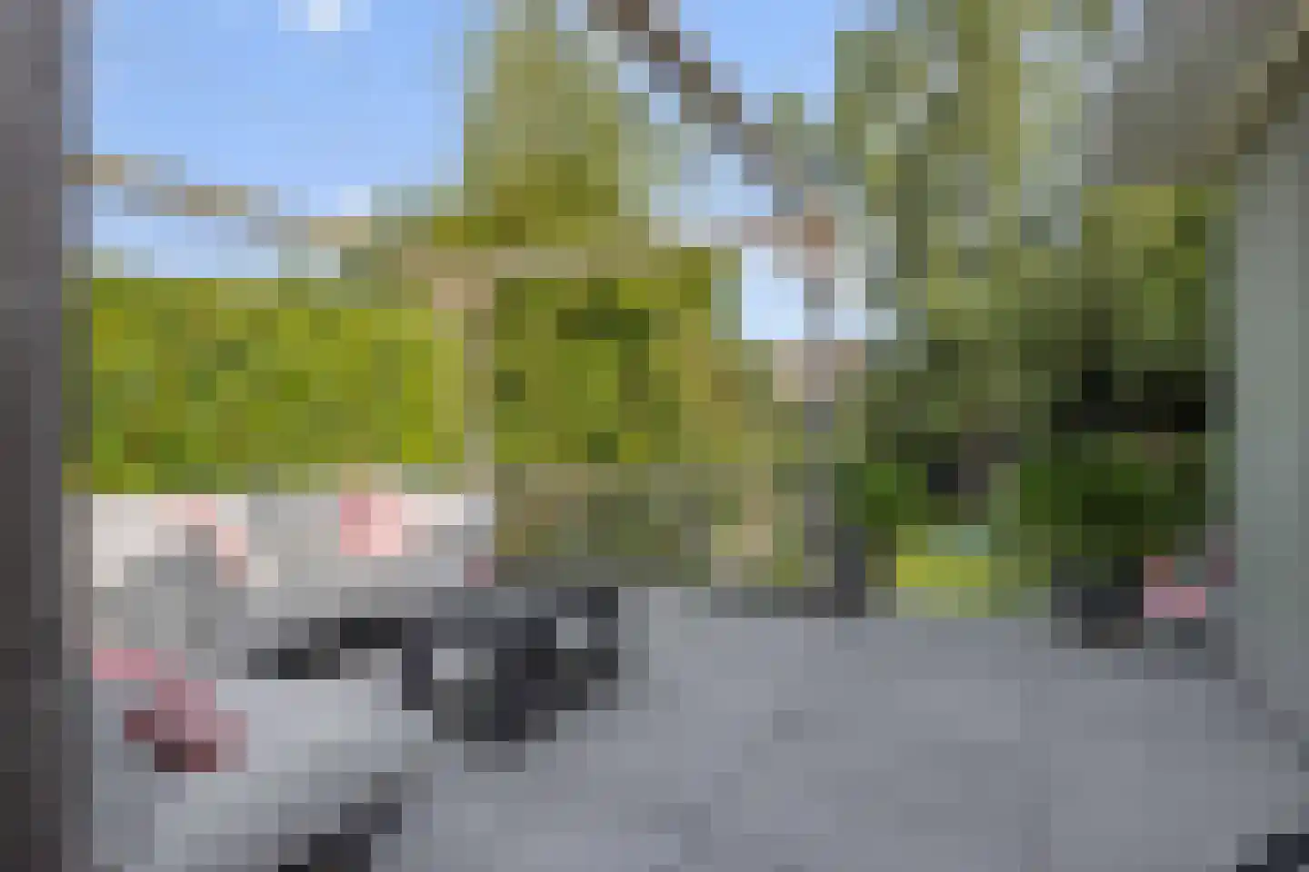 Oude Vlijmenseweg 34 's-Hertogenbosch thumbnail 34
