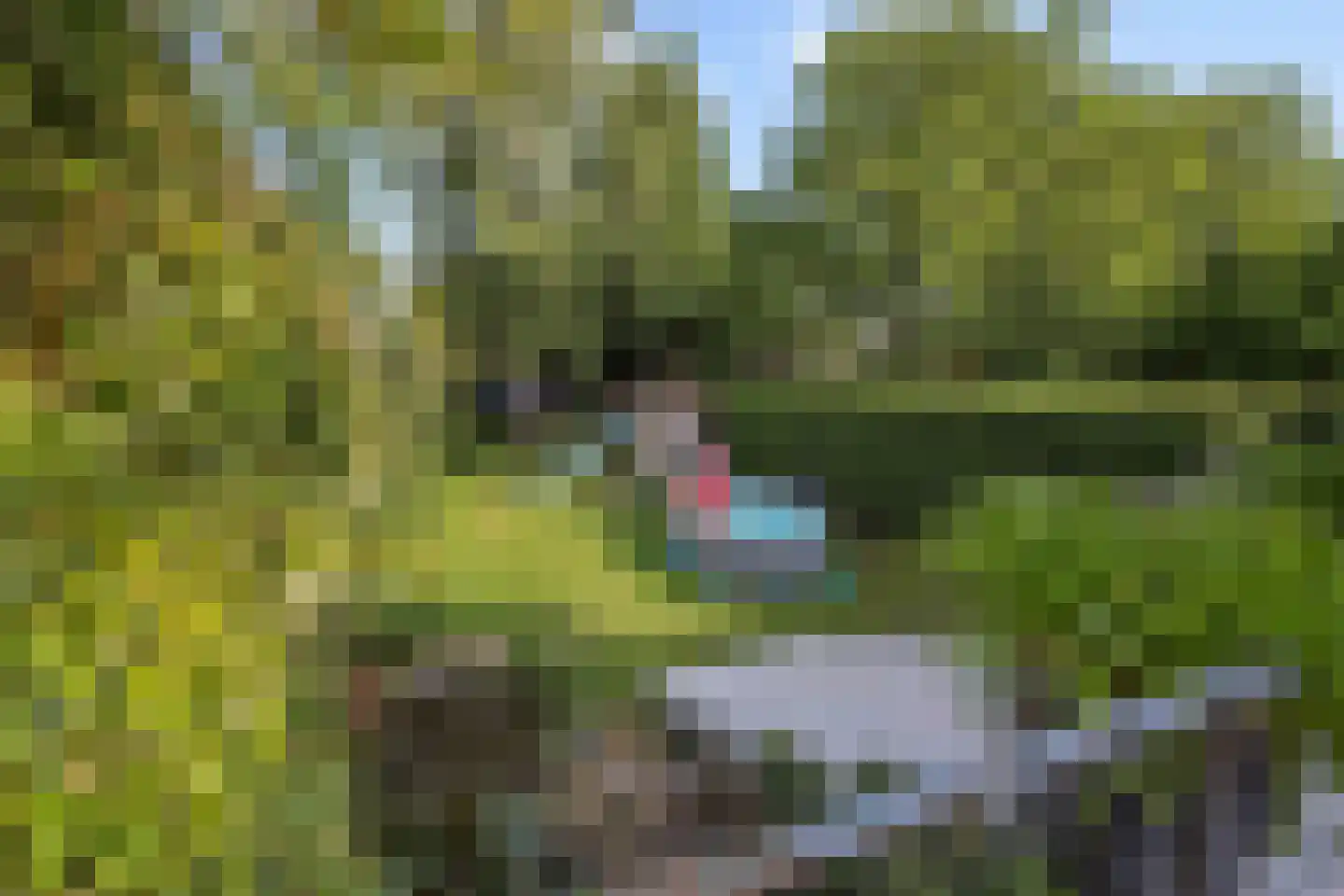 Oude Vlijmenseweg 34 's-Hertogenbosch thumbnail 35