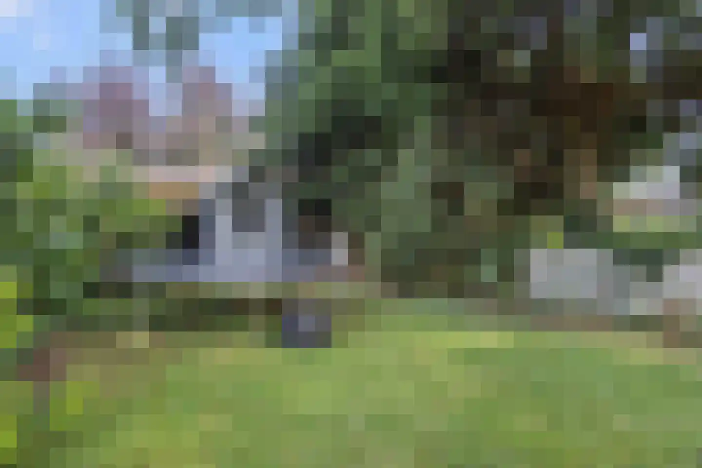 Oude Vlijmenseweg 34 's-Hertogenbosch thumbnail 38