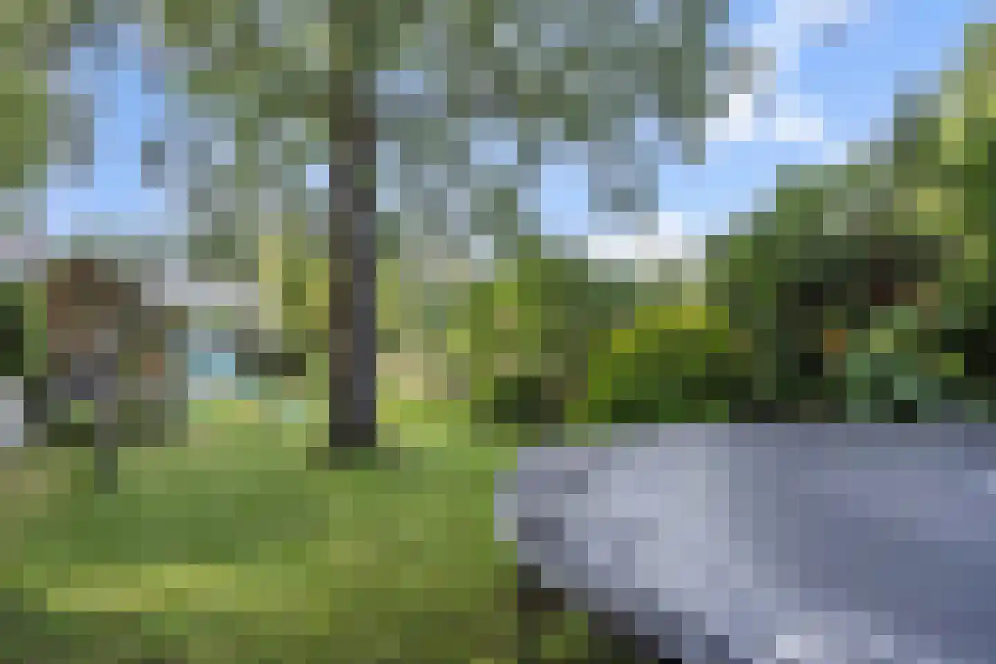 Oude Vlijmenseweg 34 's-Hertogenbosch thumbnail 39