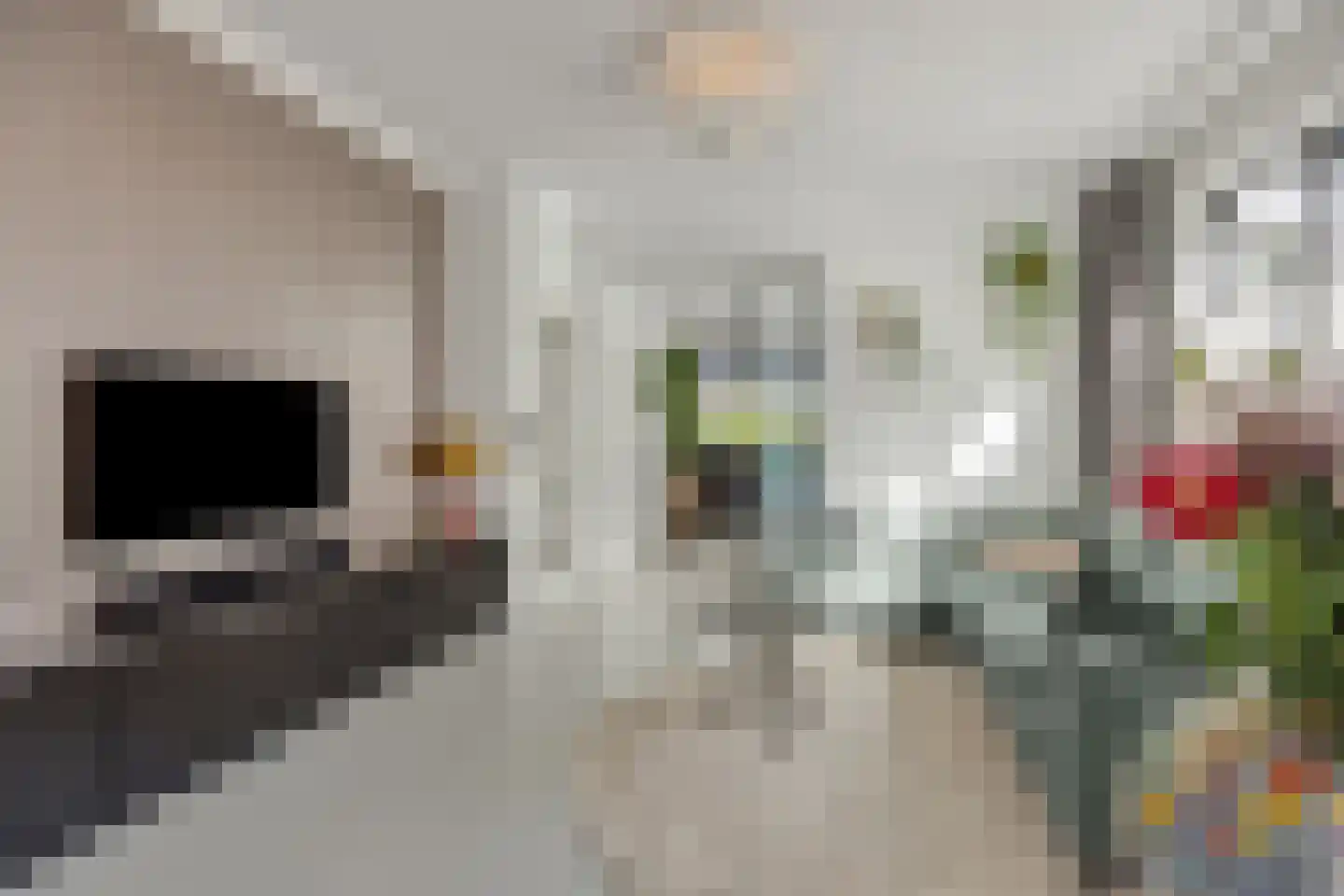 Oude Vlijmenseweg 34 's-Hertogenbosch thumbnail 9
