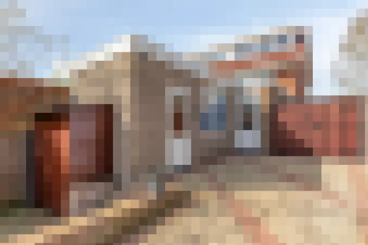 Oude Vlijmenseweg 47 's-Hertogenbosch thumbnail 10