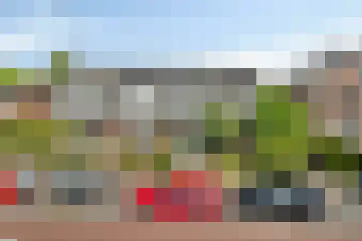 Oude Vlijmenseweg 52 's-Hertogenbosch thumbnail 34