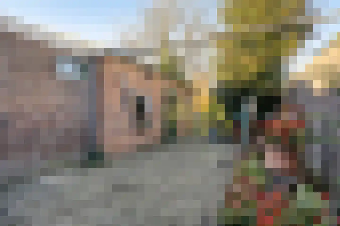 Oude Vlijmenseweg 72 's-Hertogenbosch thumbnail 18