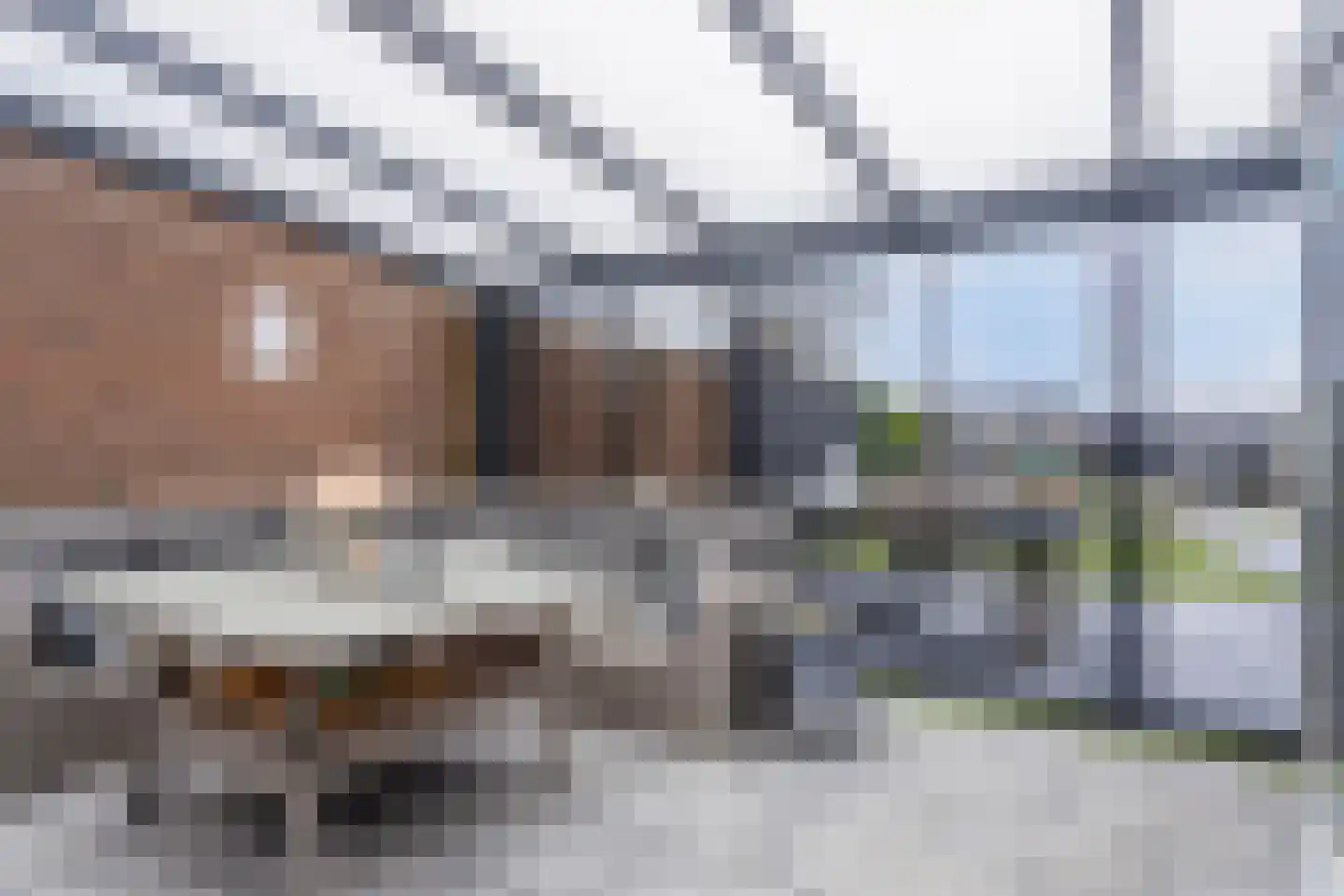 Oude Vlijmenseweg 76 's-Hertogenbosch thumbnail 24