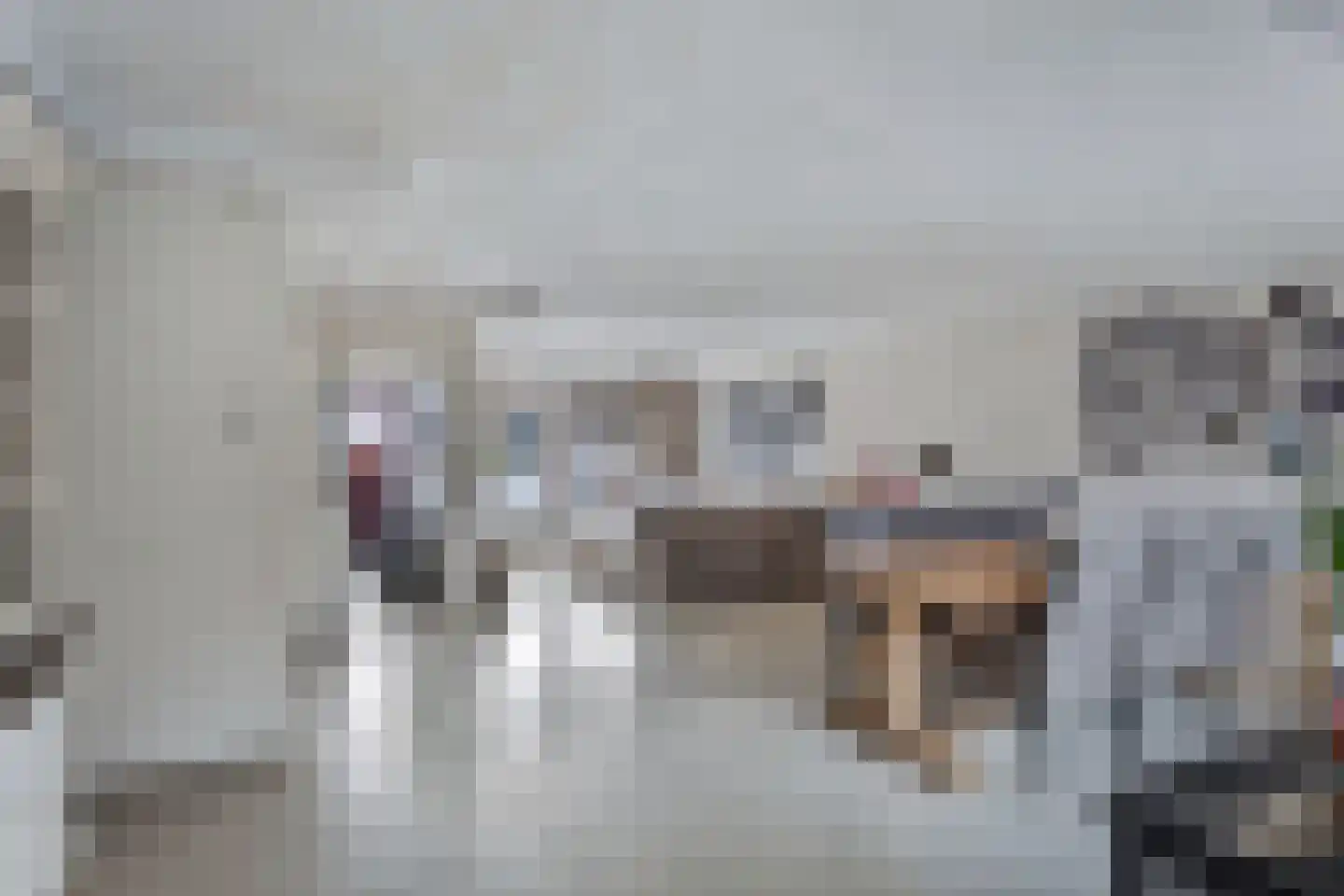 Oude Vlijmenseweg 76 's-Hertogenbosch thumbnail 4