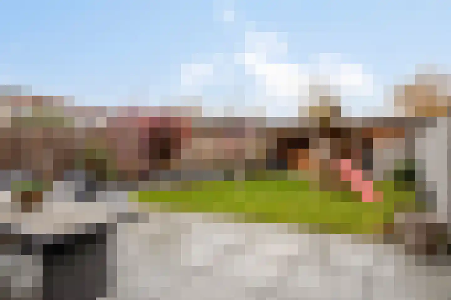 Oude Vlijmenseweg 99 's-Hertogenbosch thumbnail 13