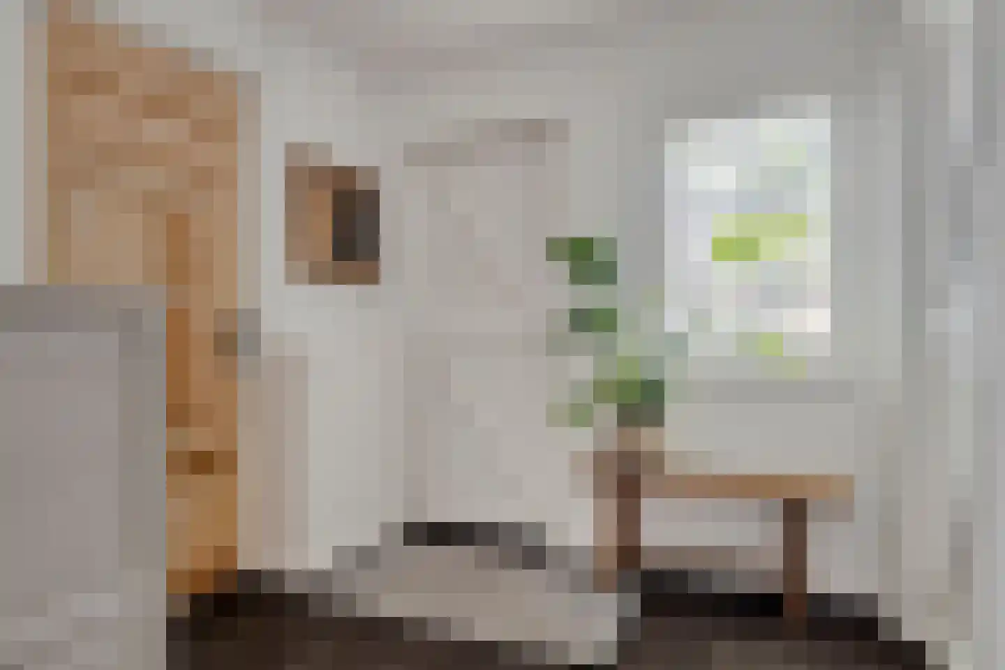 Oude Vlissingseweg 34 Middelburg thumbnail 21