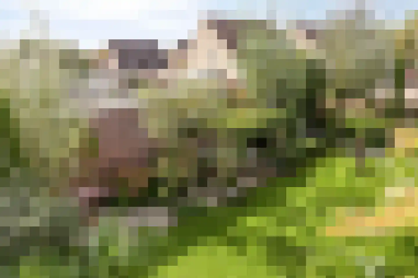 Oude Vlissingseweg 34 Middelburg thumbnail 44