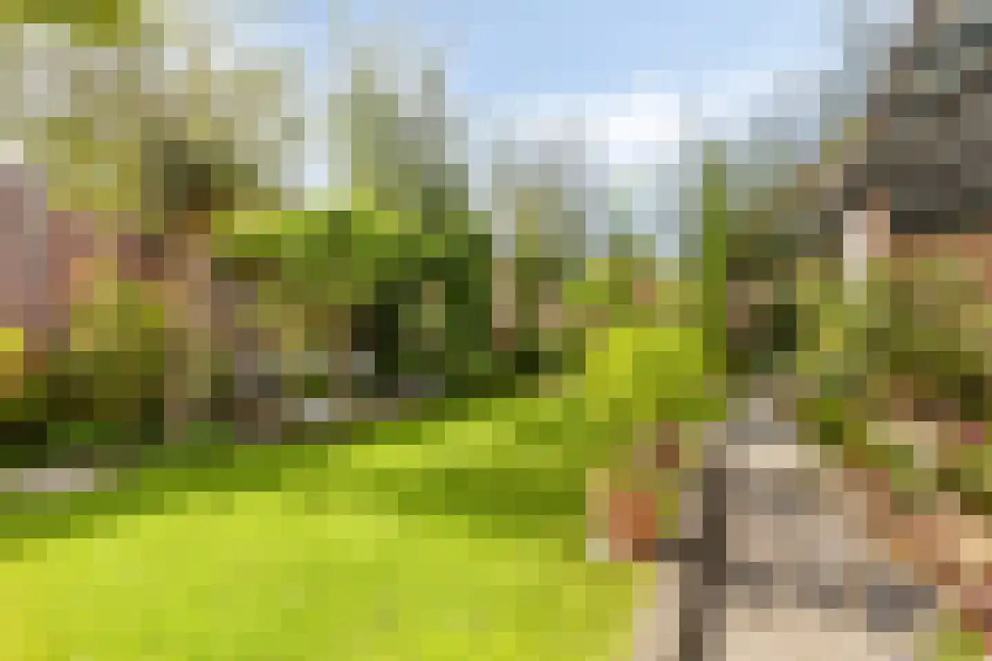 Oude Vlissingseweg 34 Middelburg thumbnail 45