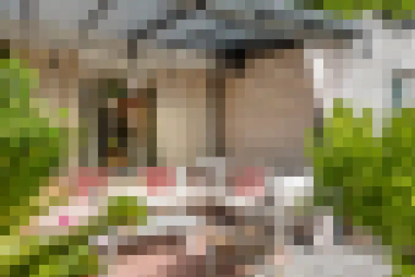 Oude Vlissingseweg 34 Middelburg thumbnail 49