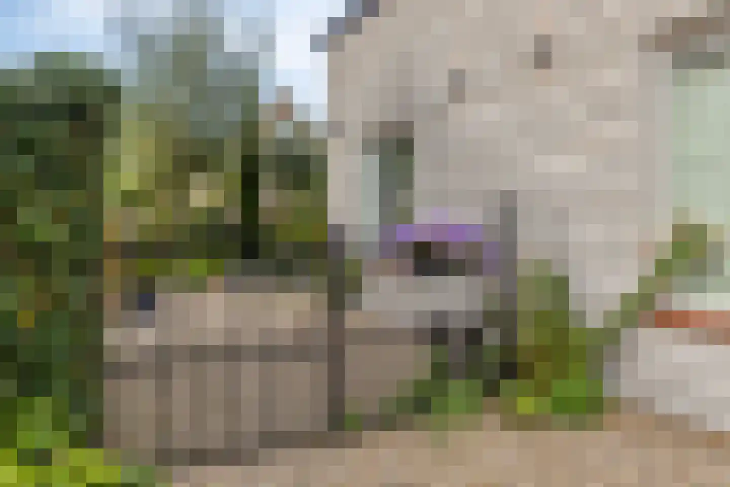 Oude Vlissingseweg 34 Middelburg thumbnail 5