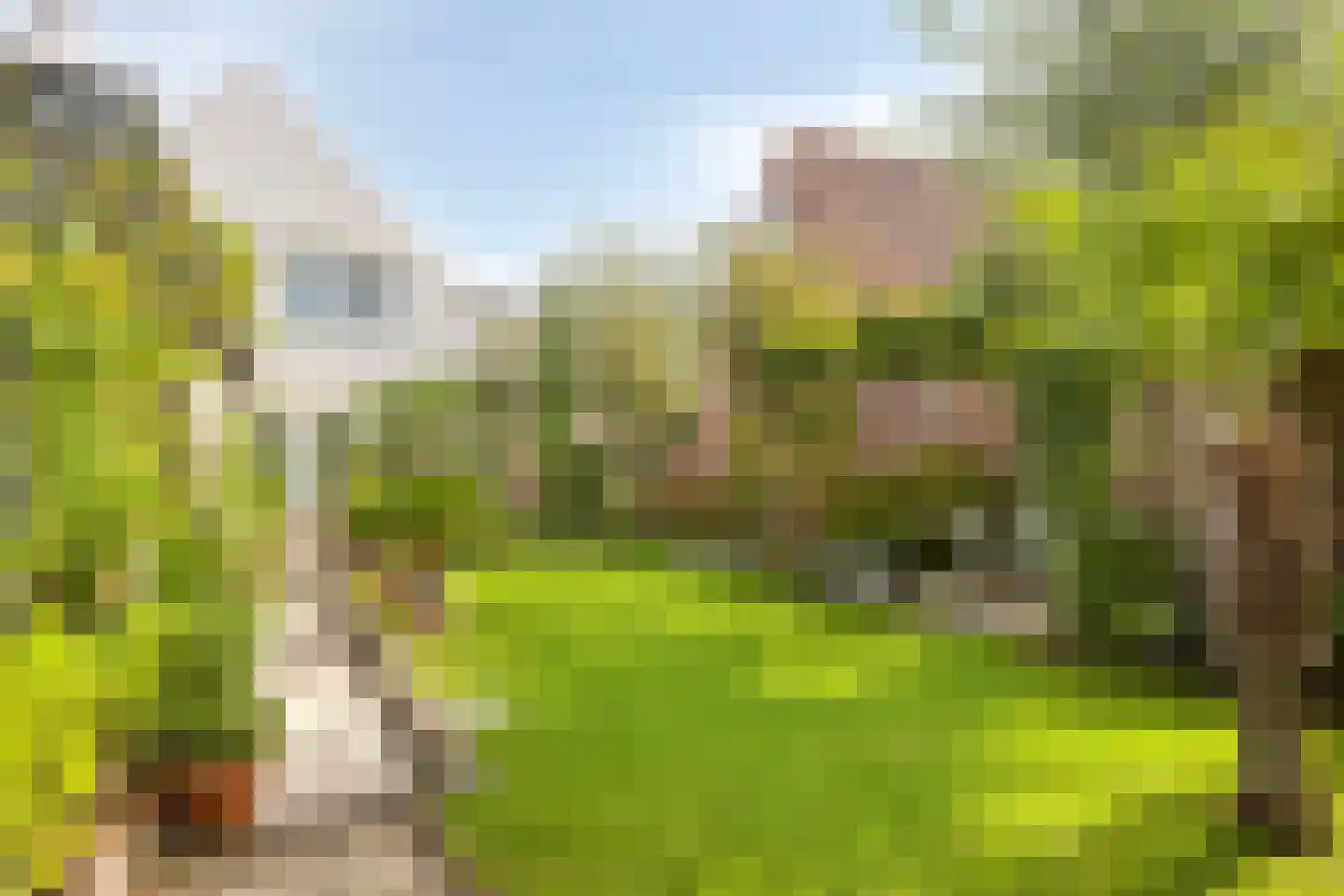 Oude Vlissingseweg 34 Middelburg thumbnail 52