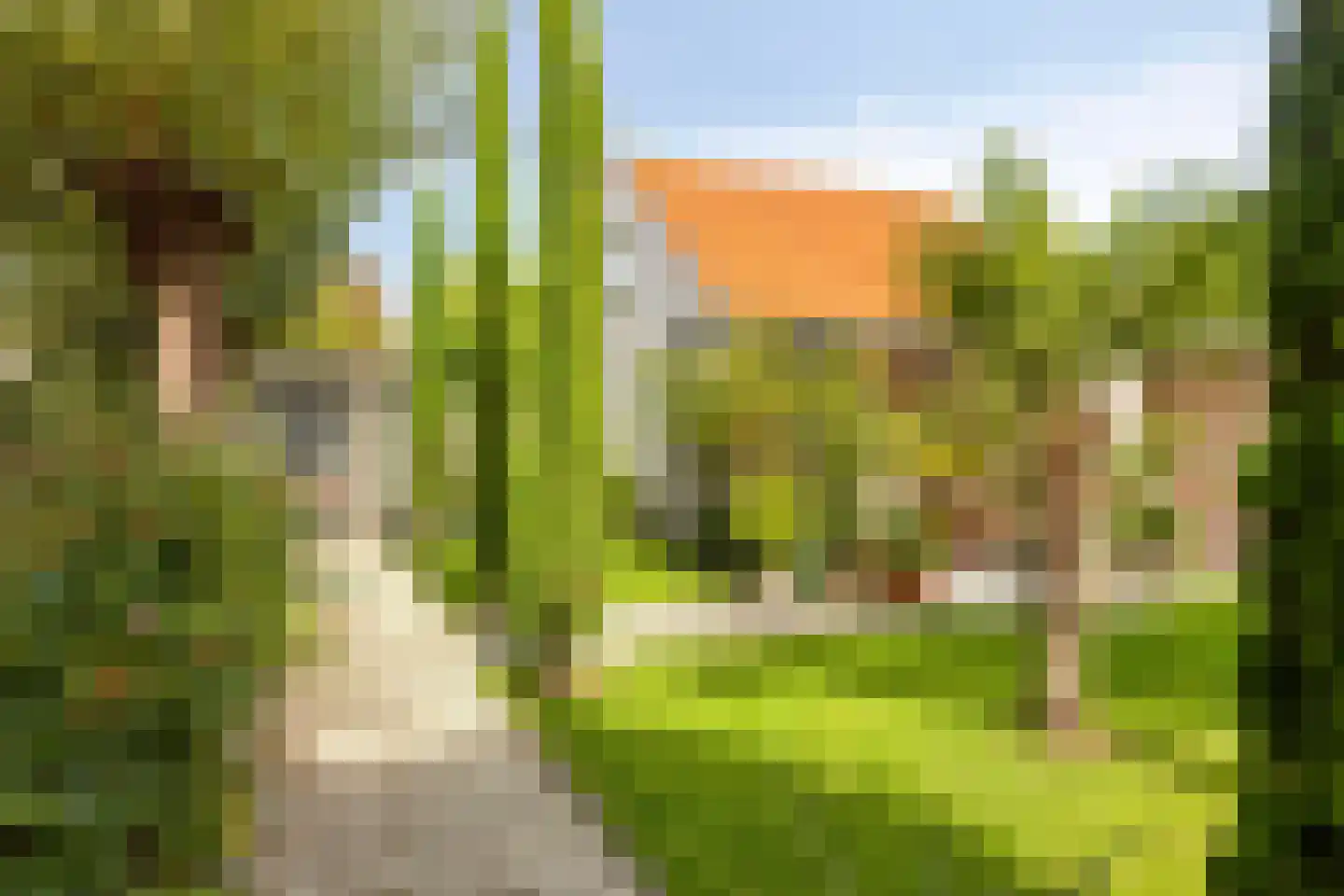 Oude Vlissingseweg 34 Middelburg thumbnail 54