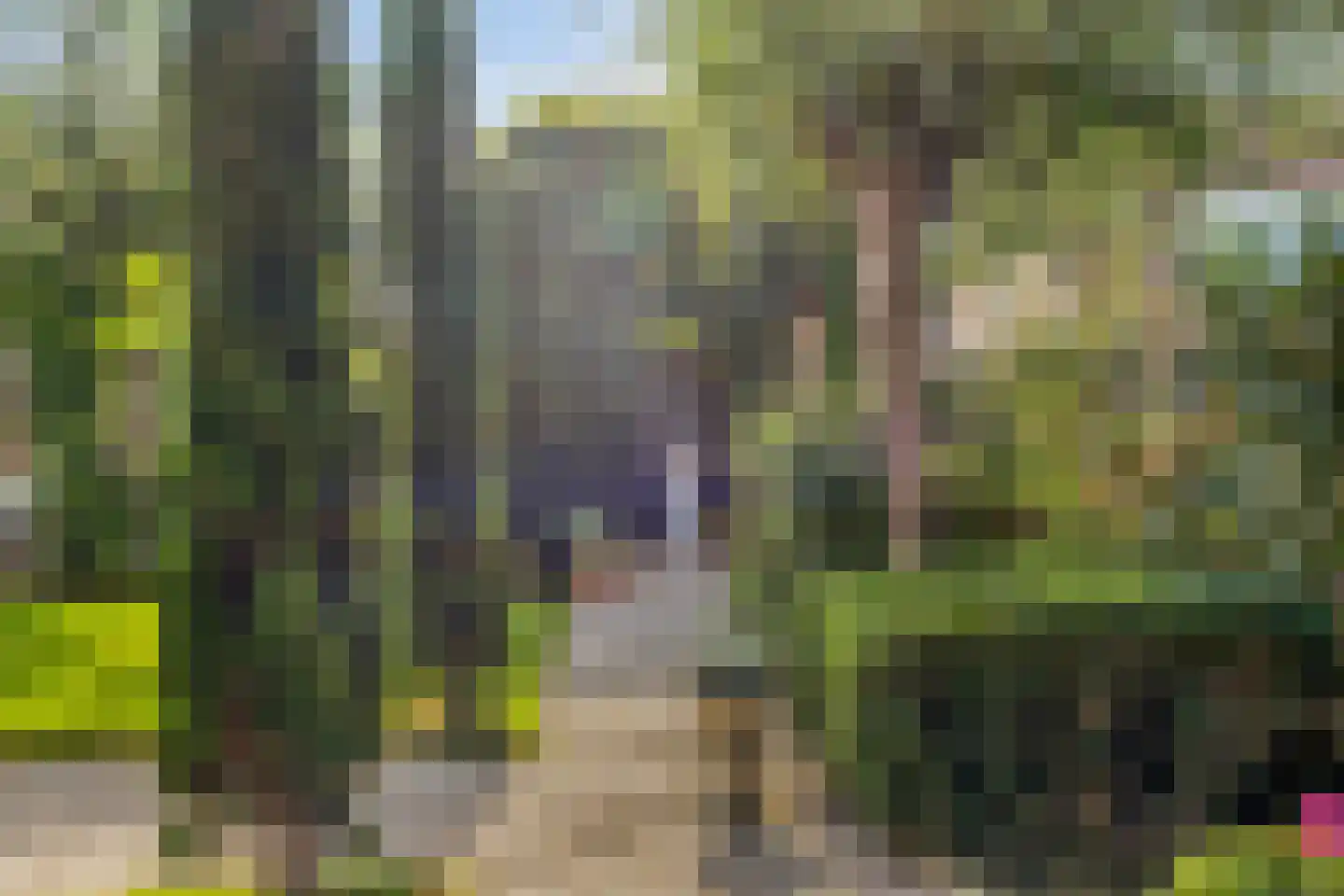Oude Vlissingseweg 34 Middelburg thumbnail 55
