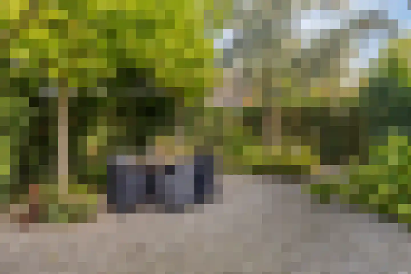 Oude Vlissingseweg 34 Middelburg thumbnail 56