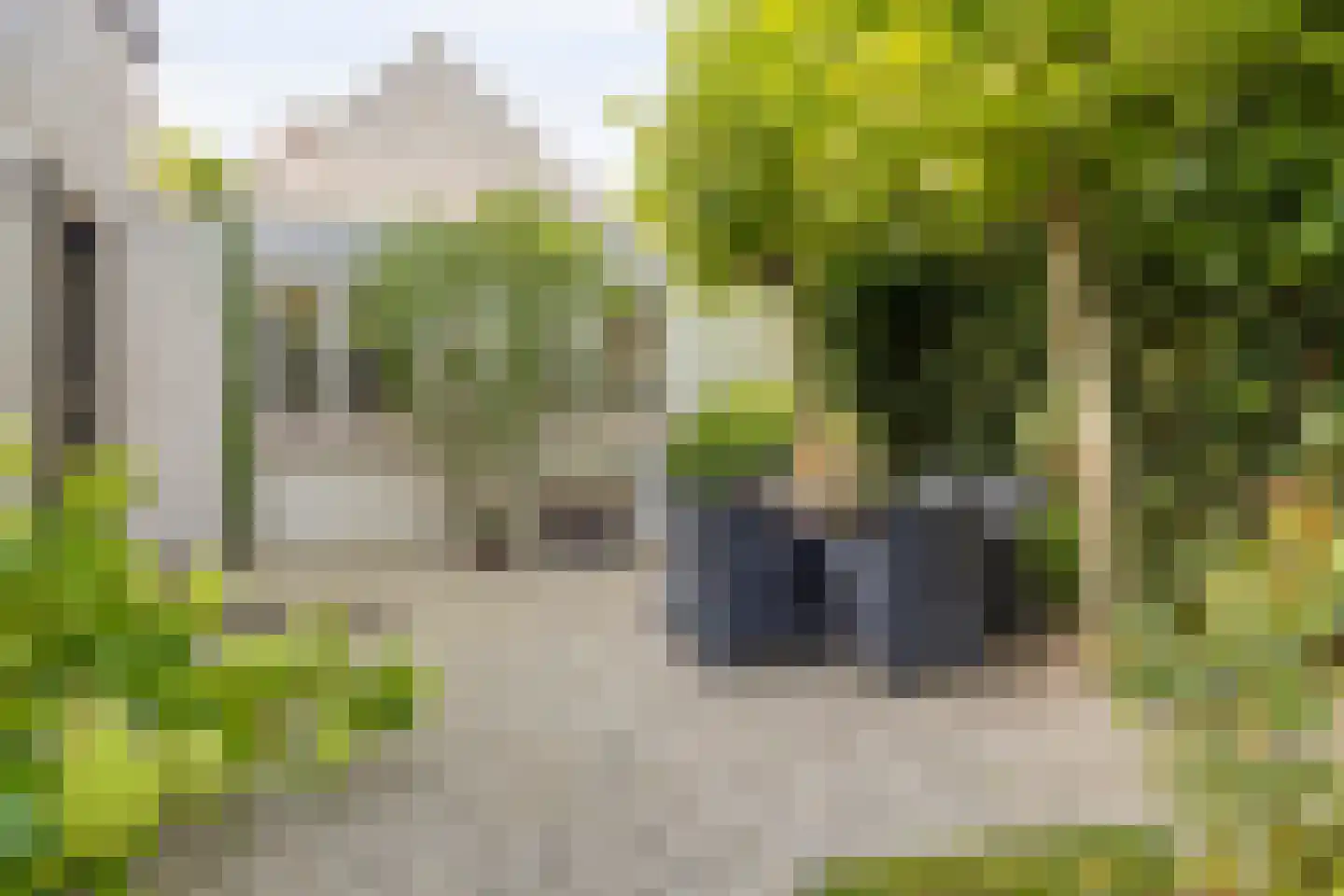 Oude Vlissingseweg 34 Middelburg thumbnail 57