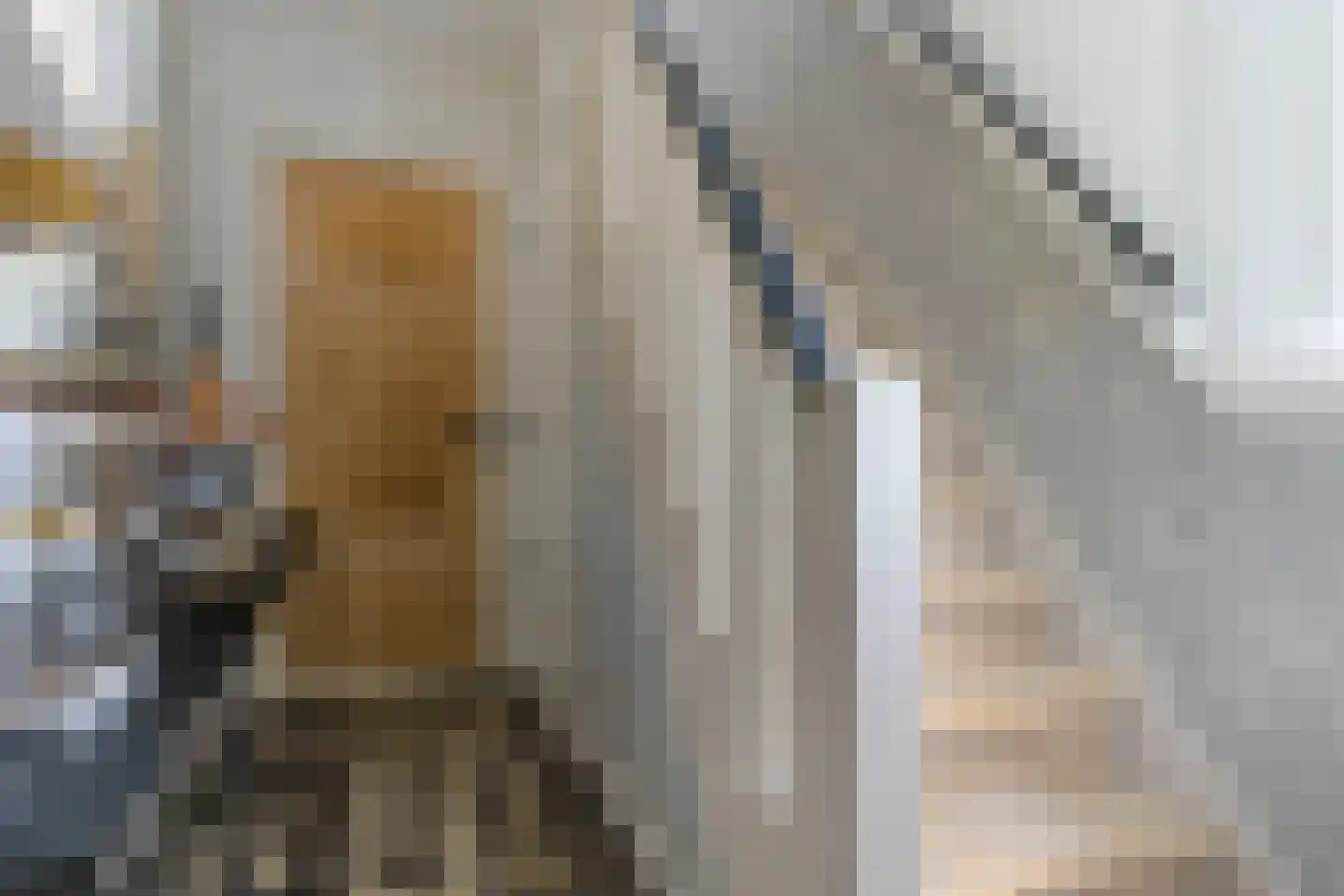 Oude Vlissingseweg 34 Middelburg thumbnail 9