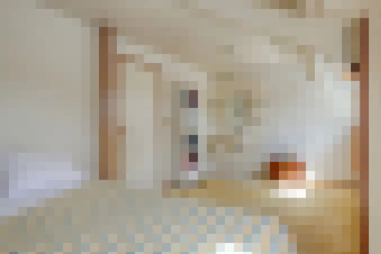 Oude Vlissingseweg 37 Middelburg thumbnail 30
