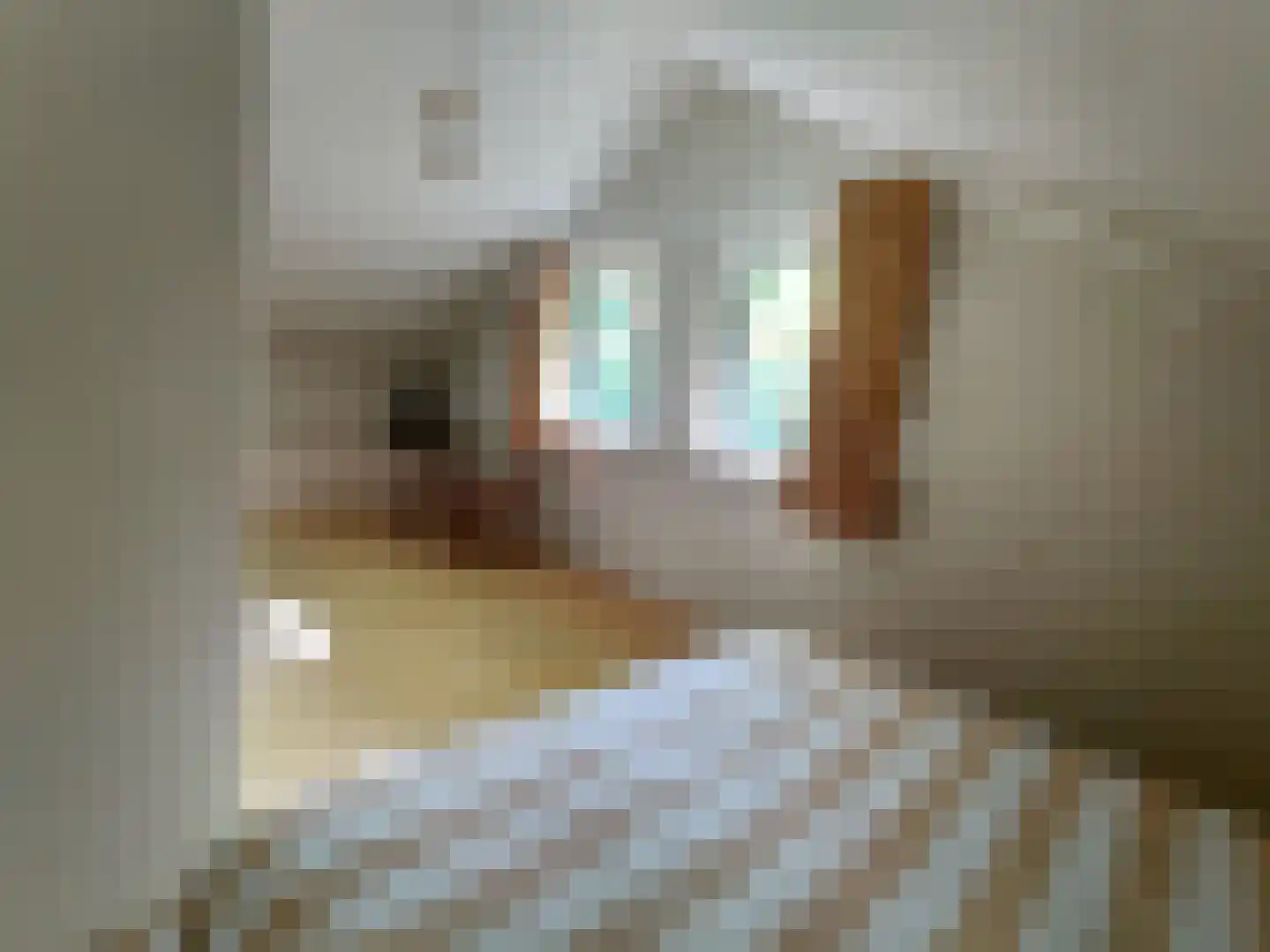 Oude Vlissingseweg 37 Middelburg thumbnail 32