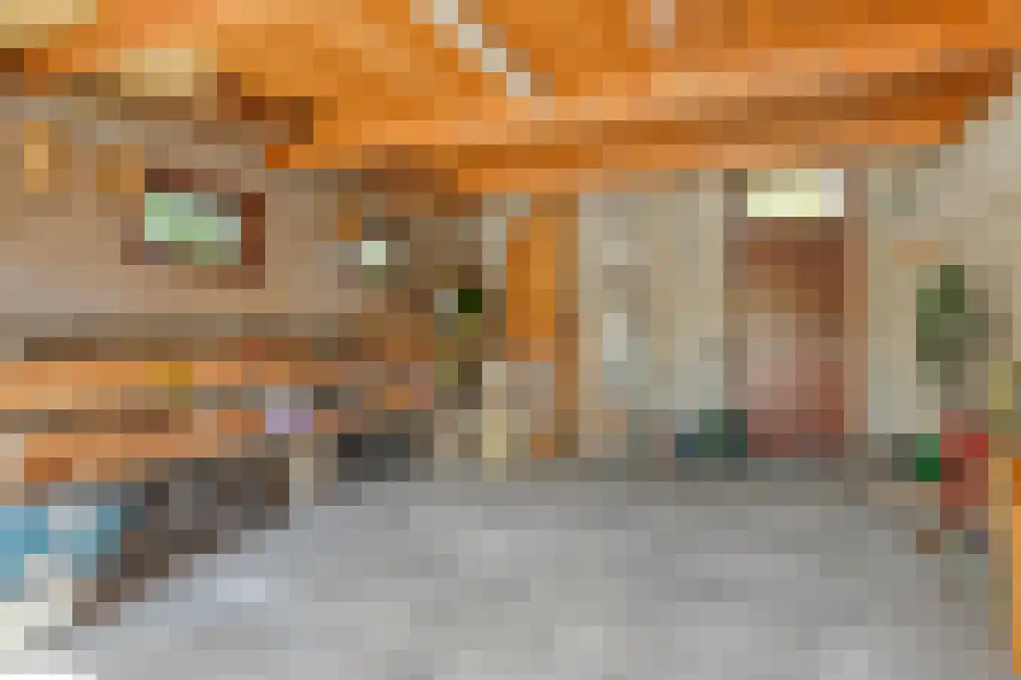 Oude Vlissingseweg 37 Middelburg thumbnail 52