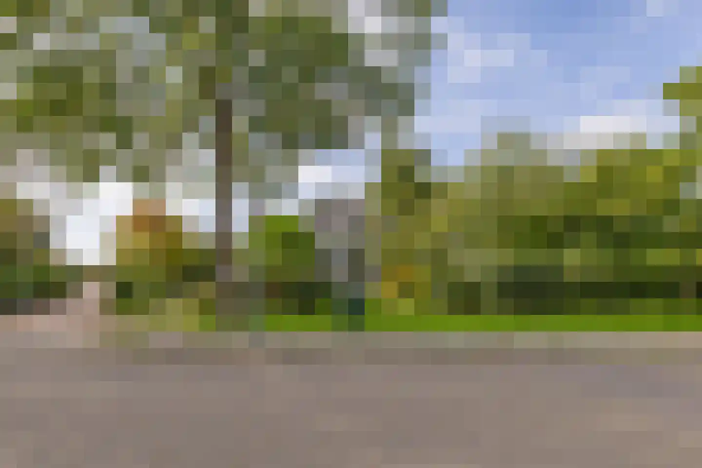 Oude Vlissingseweg 40 Middelburg thumbnail 12