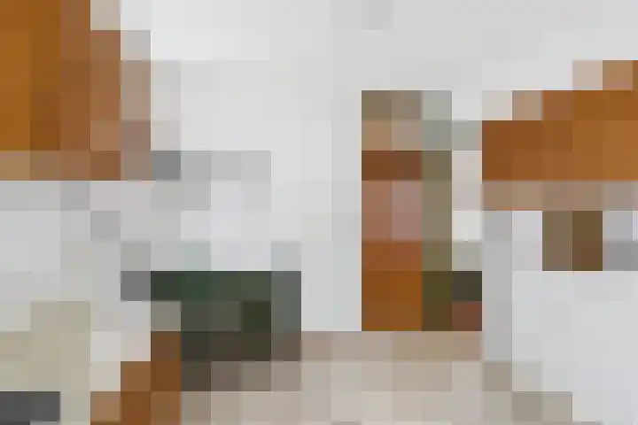 Oude Vlissingseweg 49 Middelburg thumbnail 16