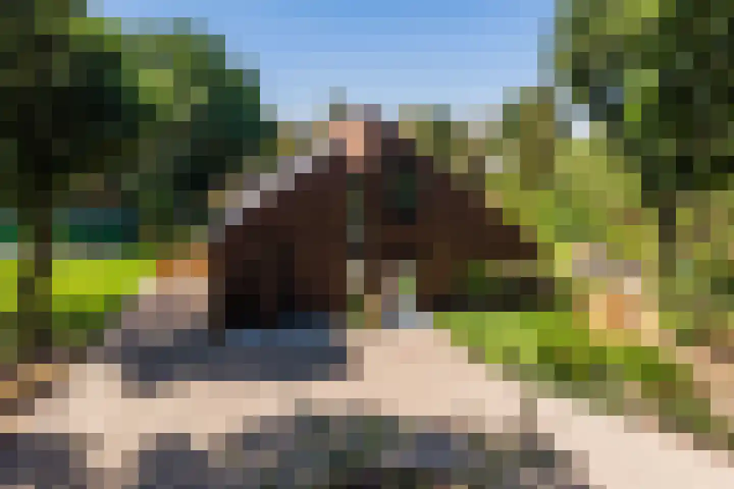 Oude Vresselseweg 8 C Sint-Oedenrode thumbnail 10