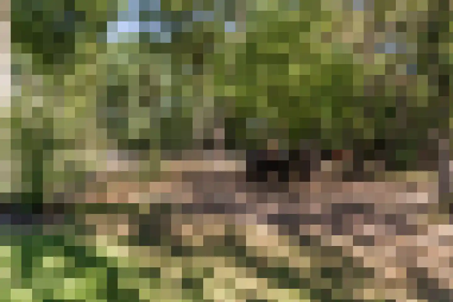 Oude Vresselseweg 8 C Sint-Oedenrode thumbnail 101