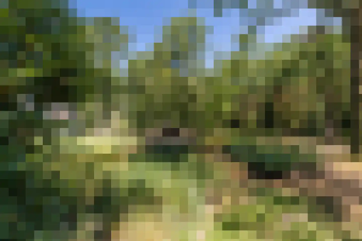 Oude Vresselseweg 8 C Sint-Oedenrode thumbnail 102