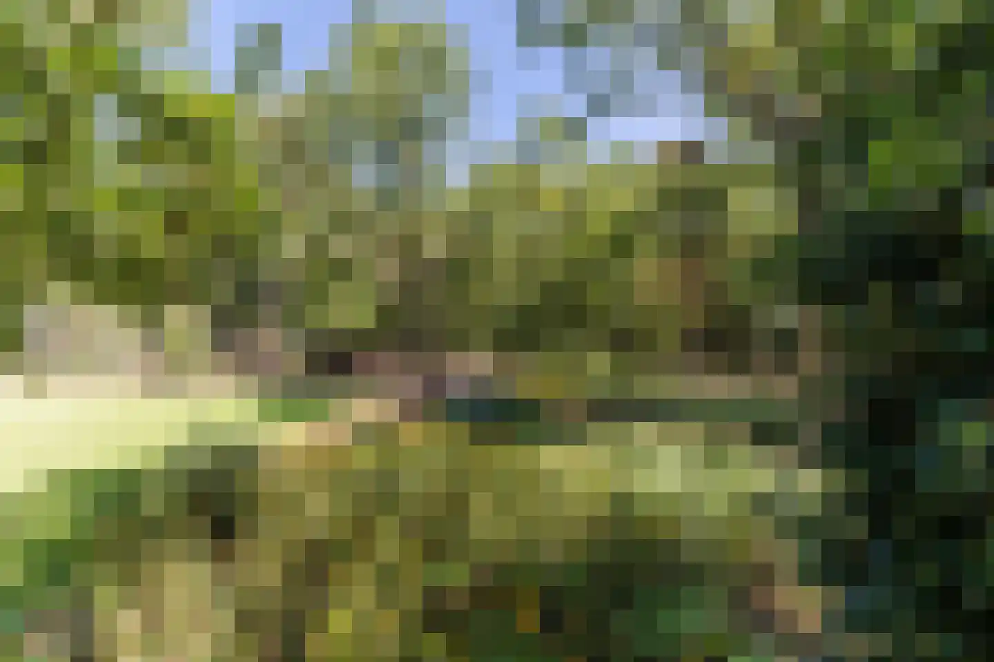 Oude Vresselseweg 8 C Sint-Oedenrode thumbnail 103