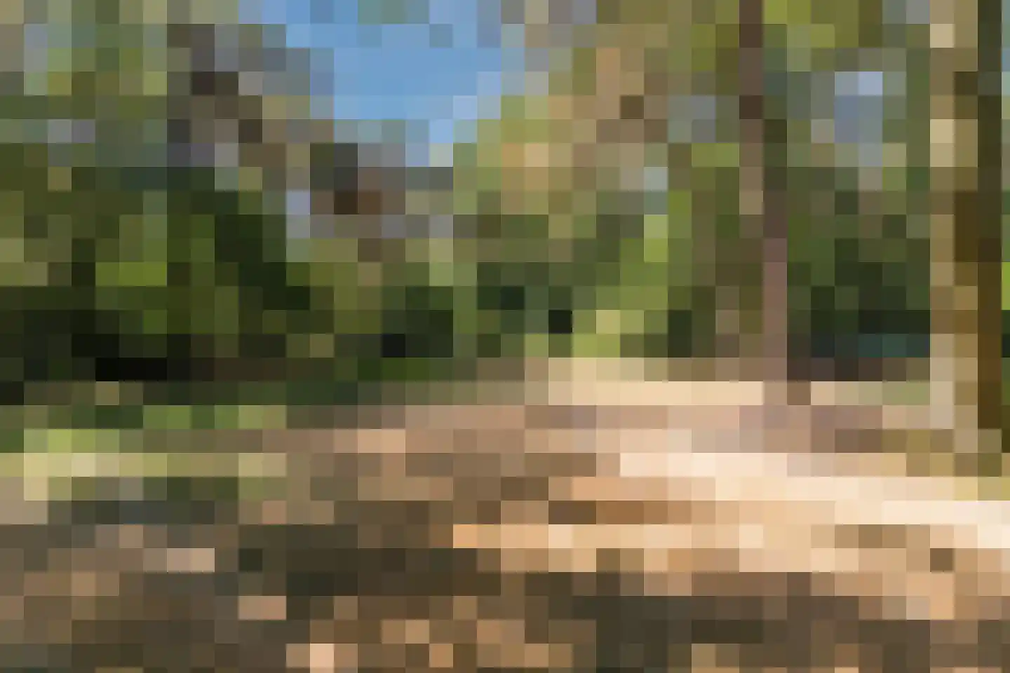 Oude Vresselseweg 8 C Sint-Oedenrode thumbnail 105